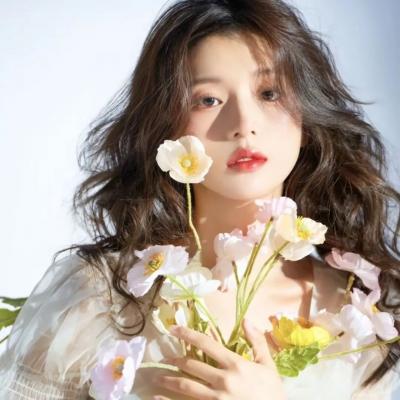 猫和老鼠：回到奥兹