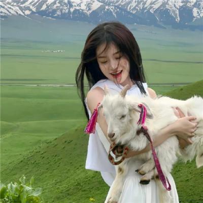 我的爸爸是森林之王